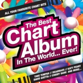 The Best Chart Album in the World... Ever! artwork