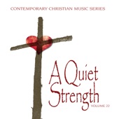 Contemporary Christian Music Series: A Quiet Strength, Vol. 22 artwork