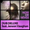 Stream & download Now or Never (Remixes) [feat. Jenson Vaughan] - EP