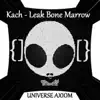 Leak Bone Marrow song lyrics