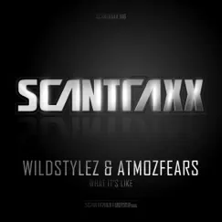 What It's Like (feat. Atmozfears) - Single by Wildstylez album reviews, ratings, credits