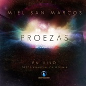 Proezas (En Vivo) artwork