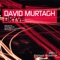 Dryve (Sandeagle Remix) - David Murtagh lyrics