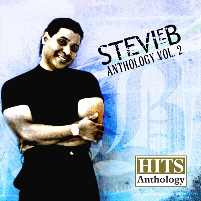 Stevie B Hits Anthology, Vol. 2 Album Cover