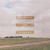 Promises of Wonder - Live from Vineyard Campbellsville (Live) artwork