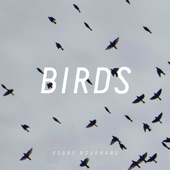 Birds artwork