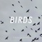 Birds artwork