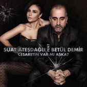 Cesaretin Var Mı Aşka (Radio Mix) [feat. Betül Demir] artwork