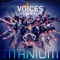 Titanium - Voices in Your Head lyrics