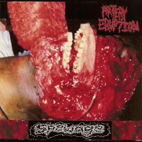 Cover artwork for Drinking the Menses of a Dead Slut