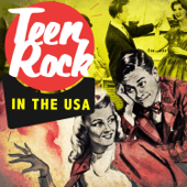 Teen Rock in the USA - Verschiedene Interpreten