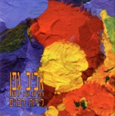 Aviv Geffen - לא יכולתי להציל אותך