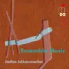 Schleiermacher: Ensemble Music album lyrics, reviews, download