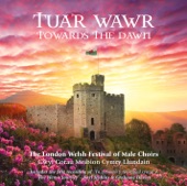 Tua'r Wawr (Towards the Dawn) artwork