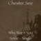 Why Won't You Smile - Chester See lyrics