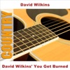David Wilkins' You Get Burned - EP artwork