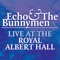 The Back of Love (Live At Royal Albert Hall 1984) - Echo & The Bunnymen lyrics