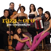 Los Cenzontles - The Neighborhood