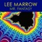 Mr. Fantasy - Lee Marrow lyrics