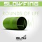 Rounds of Life - Slowfing lyrics