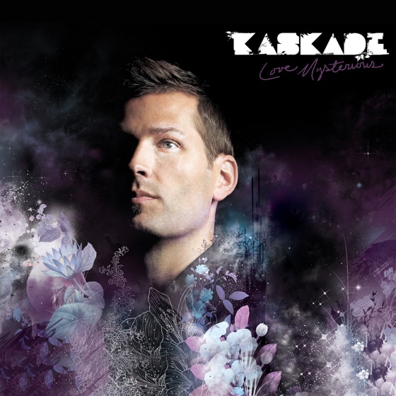 Cover artwork for Fake