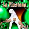 La Fiestona Vol.5 - Varios