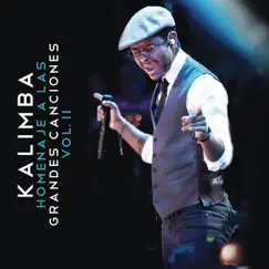 Homenaje a las Grandes Canciones, Vol. II by Kalimba album reviews, ratings, credits