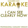 I Can See Clearly Now (In the Style of Johnny Nash) [Karaoke Version] - Single album lyrics, reviews, download