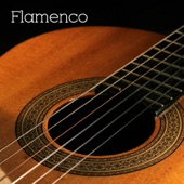 Flamenco: Guitare et Danse Flamenco, Guitare Espagnole, Musique d'Ambience, Chill Out Lounge et Musique Relaxante artwork