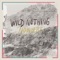 Nowhere - Wild Nothing lyrics