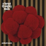 A Forest Mighty Black - Duo Trippin‘