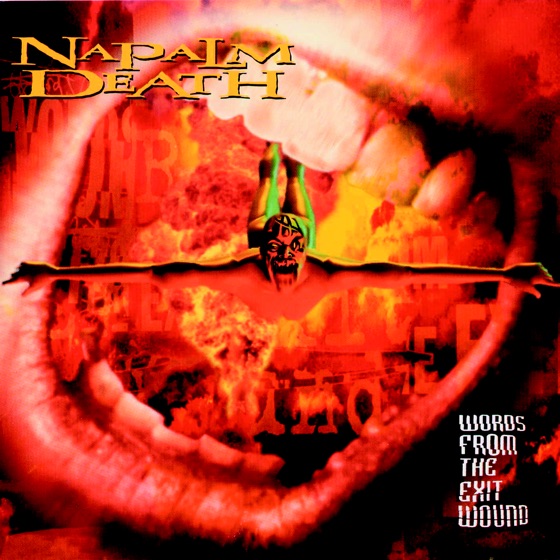 Cover artwork for None the Wiser