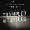 Bloodshot Eyes - Trampled By Turtles lyrics