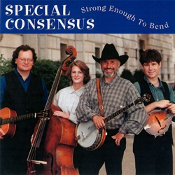 Special Consensus - Candy Mountain