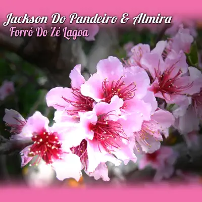 Forró do Zé Lagoa - Single - Jackson do Pandeiro