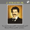 Johann Strauss II: Man lebt nur einmal/Various Artists