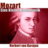 Serenade No. 13 for Strings in G Major, K. 525 "Eine Kleine Nachtmusik": I. Allegretto artwork