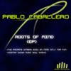 Pablo Caballero & David Perezgrueso - Fly For Fun (Original)