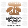 Mushroom Evolution Concert artwork