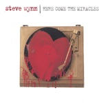 Steve Wynn - Smash Myself to Bits