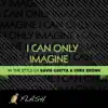 Stream & download I Can Only Imagine (Originally by David Guetta feat. Chris Brown and Lil Wayne) [Karaoke / Instrumental] - Single