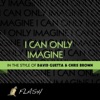 I Can Only Imagine (Originally by David Guetta feat. Chris Brown and Lil Wayne) [Karaoke / Instrumental] - Single