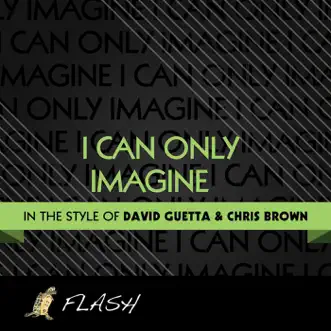 I Can Only Imagine (Originally by David Guetta feat. Chris Brown and Lil Wayne) [Karaoke / Instrumental] - Single by Flash song reviws