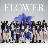 Flower - Fadeless Love