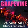 GRAPEVINE