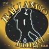 Tangheros Orchestra - Tango Delle Capinere