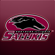 Go Southern Go! - Southern Illinois University Marching Salukis