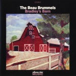The Beau Brummels - Little Bird