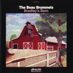 The Beau Brummels - Turn Around