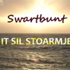 It Sil Stoarmje - Single